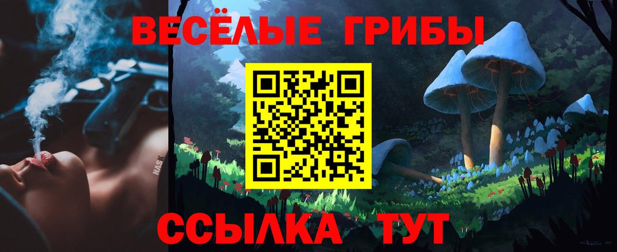 Касимов  Псилоцибиновые грибы мухоморы  Вход с VPN 