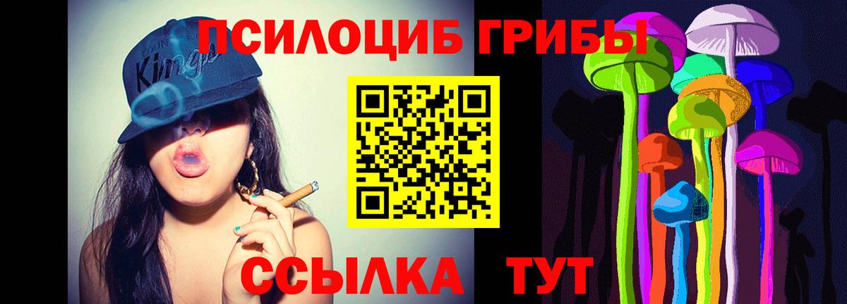 Галлюциногенные грибы Psilocybine cubensis Касимов
